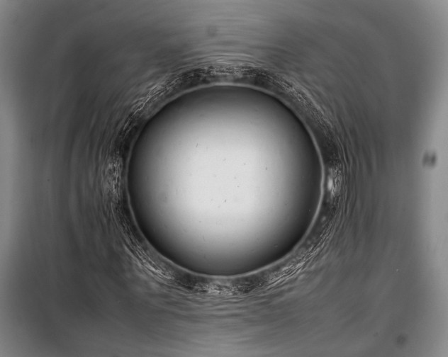 X0000101220867200806271445
