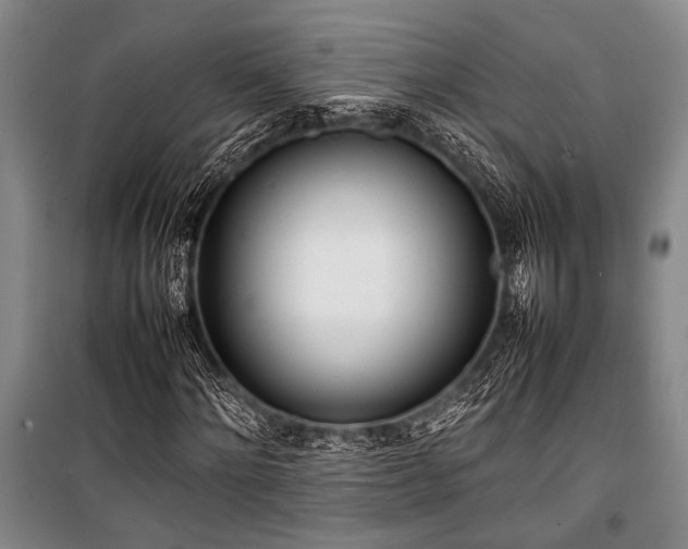 X0000101220868200806271445