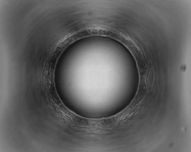 X0000101220870200806271445