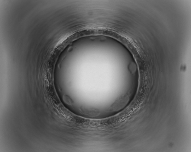 X0000101220871200806271445