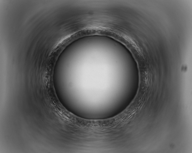 X0000101220872200806271445