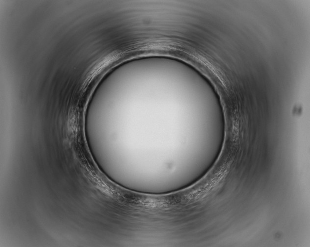 X0000101220874200806271445