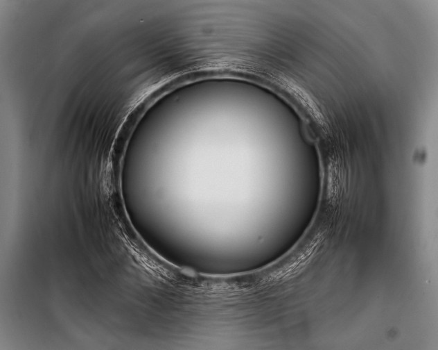 X0000101220876200806271445