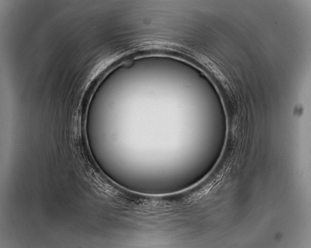 X0000101220877200806271445