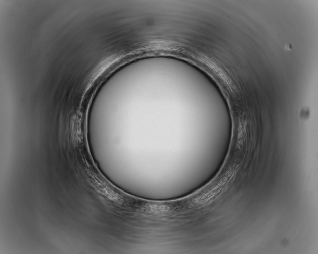 X0000101220878200806271445