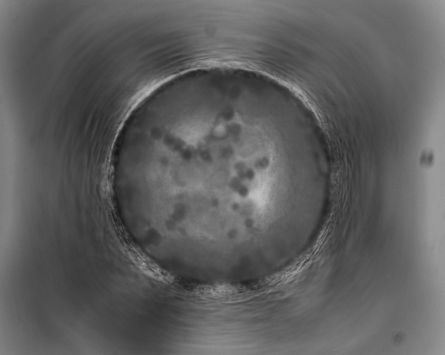 X0000101220879200806271445