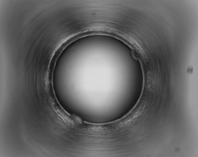 X0000101220880200806271445