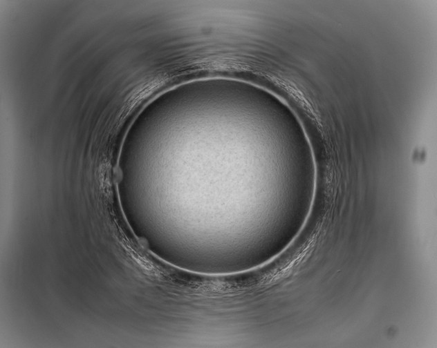 X0000101220881200806271445