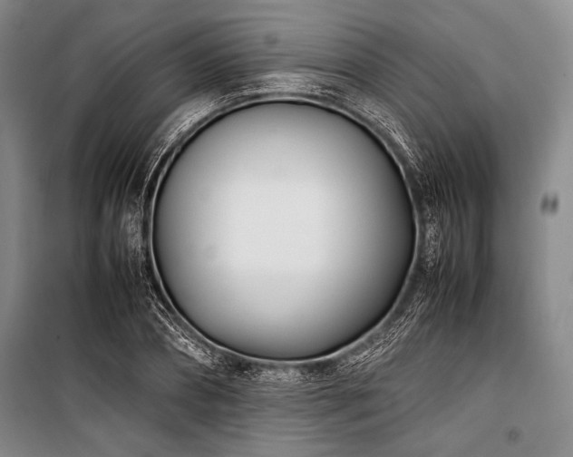 X0000101220882200806271445