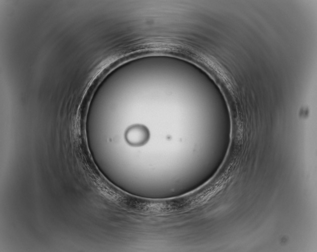 X0000101220883200806271445