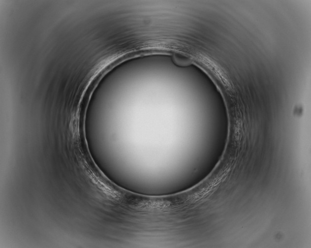 X0000101220884200806271445