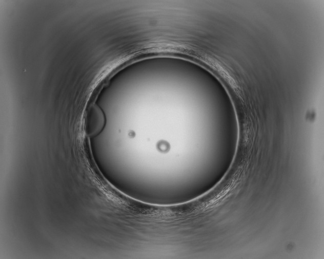 X0000101220885200806271445