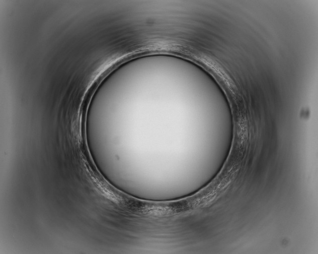 X0000101220886200806271445
