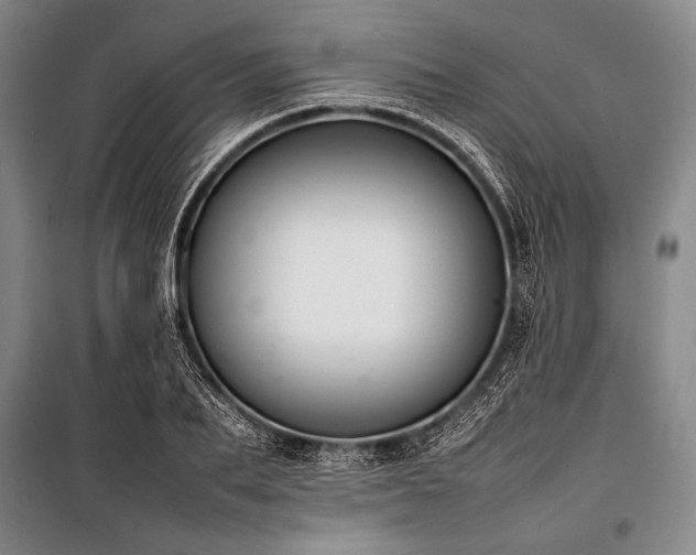 X0000101220887200806271445