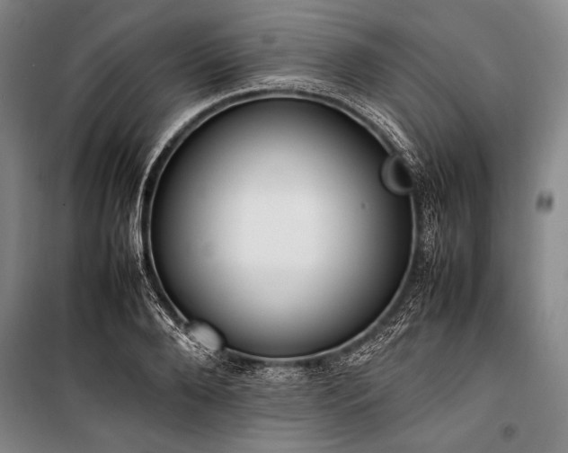 X0000101220888200806271445