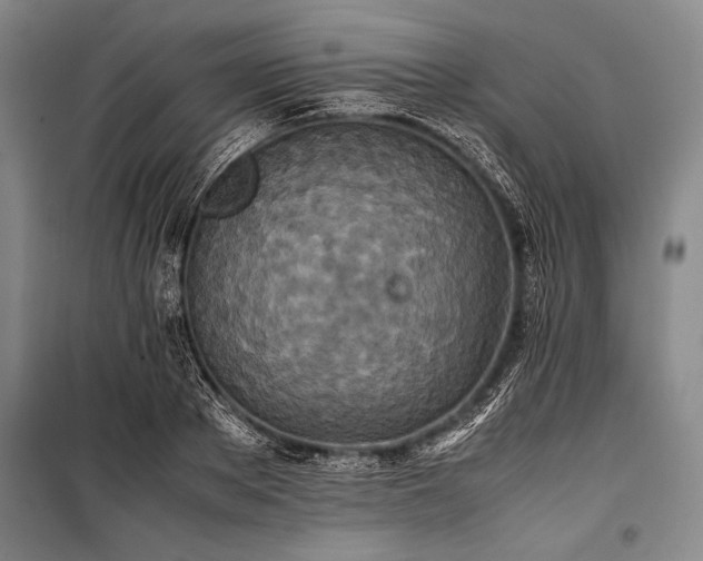 X0000101220889200806271445
