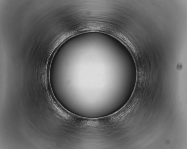 X0000101220890200806271445