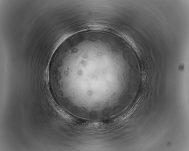 X0000101220891200806271445