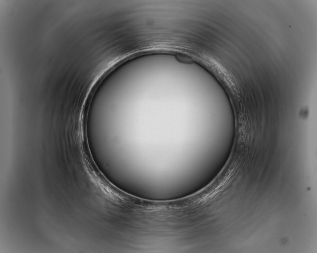 X0000101220892200806271445