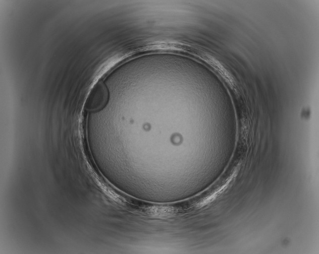 X0000101220893200806271445