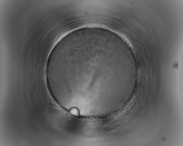 X0000101220895200806271445