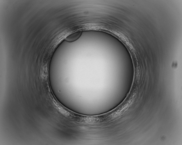 X0000101220897200806271445