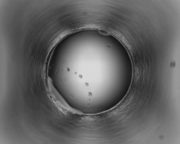 X0000101220898200806271445