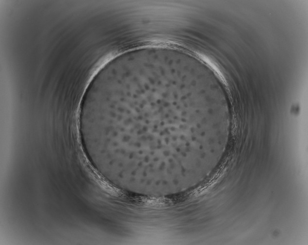 X0000101220899200806271445