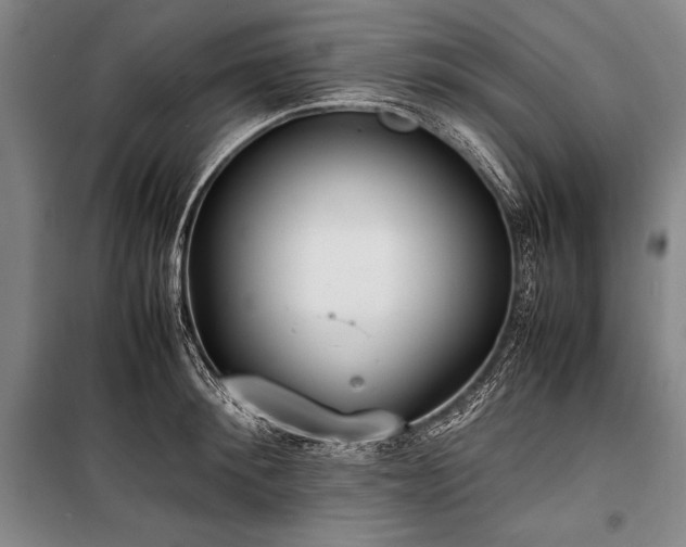 X0000101220900200806271445