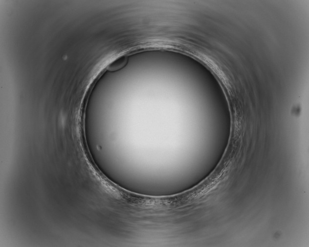 X0000101220901200806271445