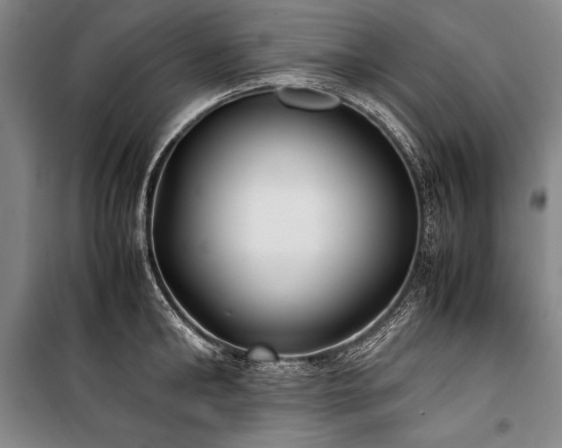 X0000101220902200806271444