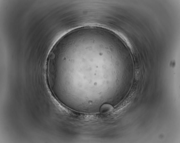 X0000101220903200806271444