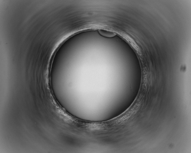 X0000101220904200806271444