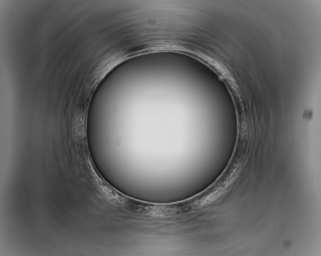 X0000101220905200806271444