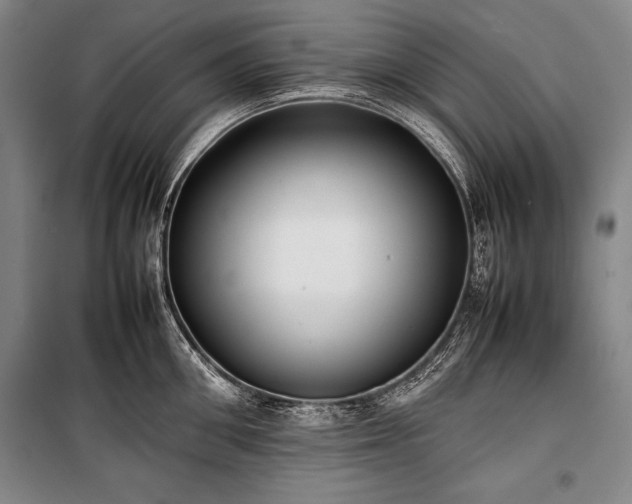 X0000101220906200806271444