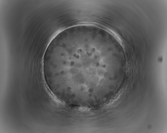X0000101220907200806271444