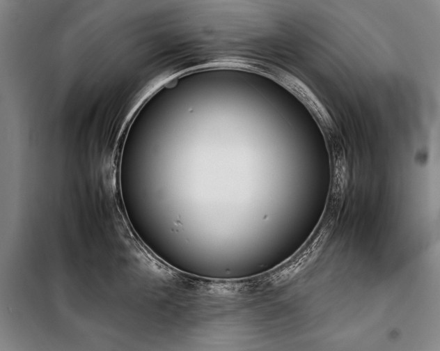 X0000101220908200806271444