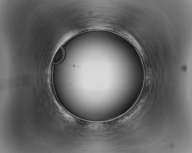 X0000101220909200806271444
