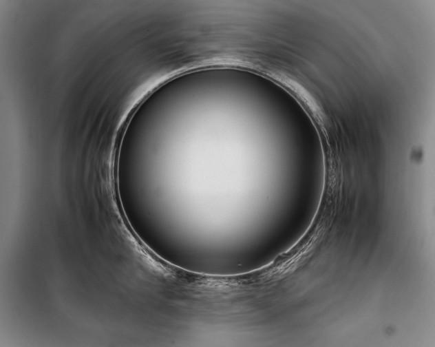 X0000101220910200806271444
