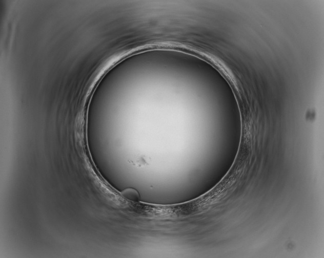 X0000101220911200806271444