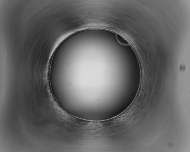 X0000101220912200806271444