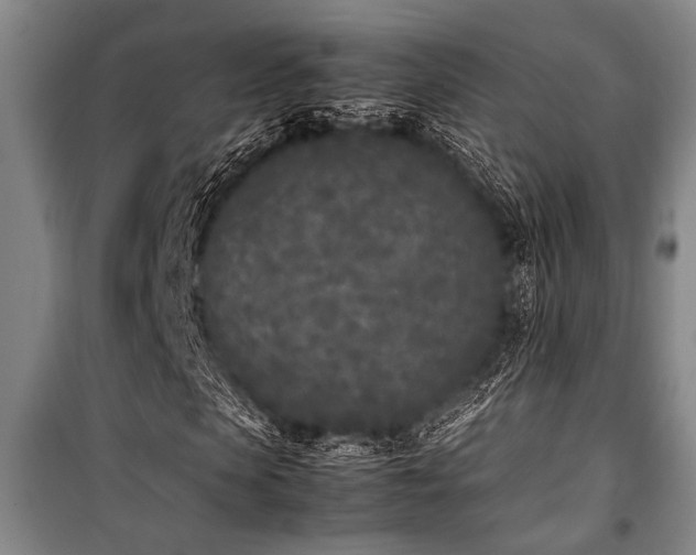 X0000101220913200806271444