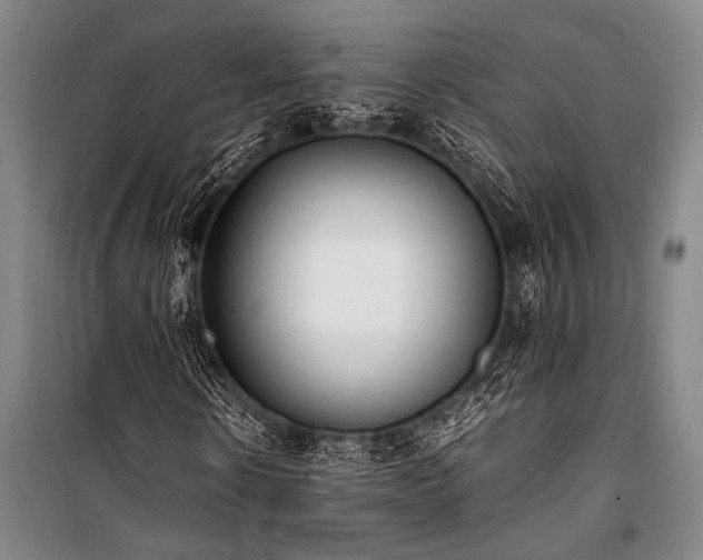 X0000101220914200806271444