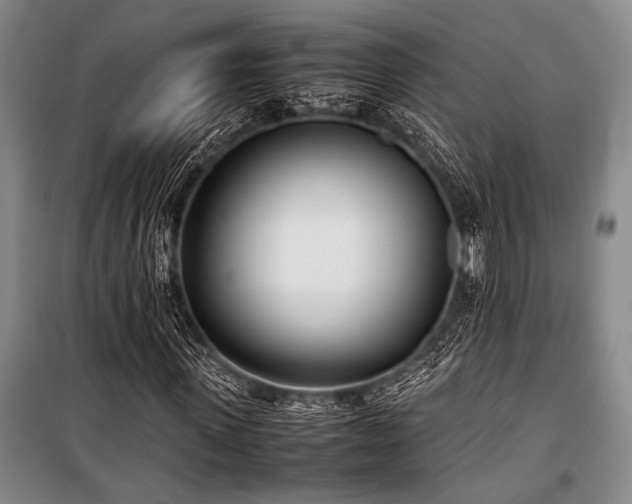 X0000101220915200806271444