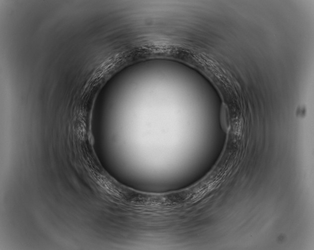 X0000101220916200806271444