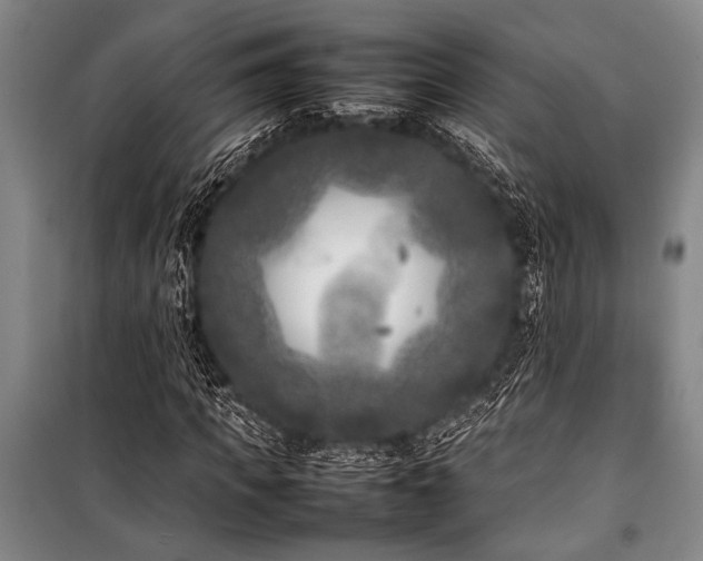 X0000101220917200806271444