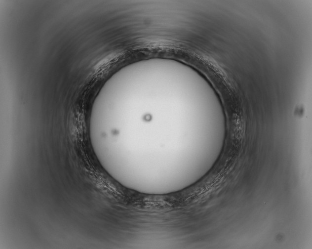 X0000101220918200806271444