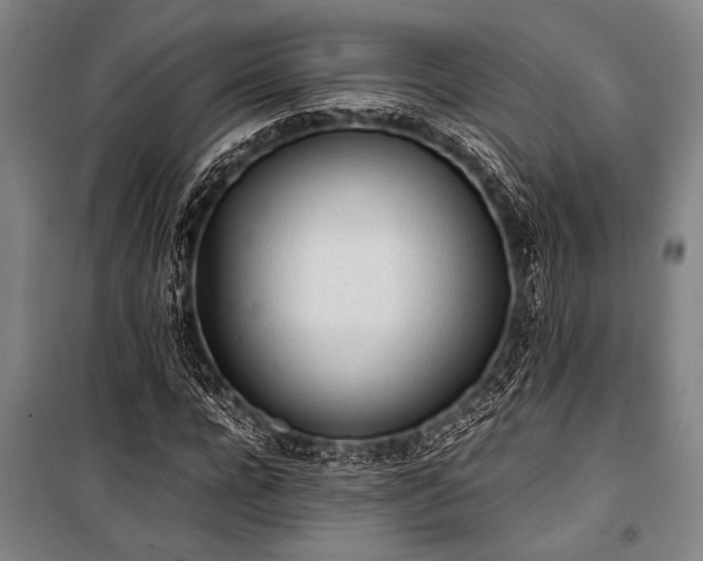 X0000101220920200806271444