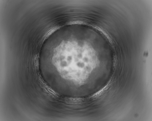 X0000101220921200806271444