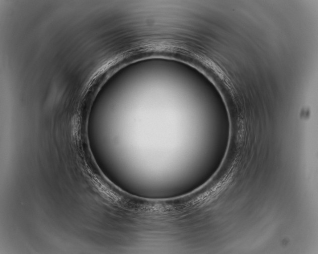 X0000101220922200806271444